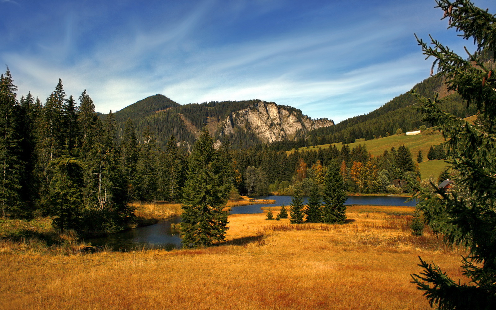 开云·体育官网-夺冠之路：冠军的成长历程纪录片，回顾夺冠