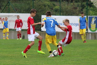 开云网站-国足比赛期间战术板应用时机整理，足球战术板软件下载