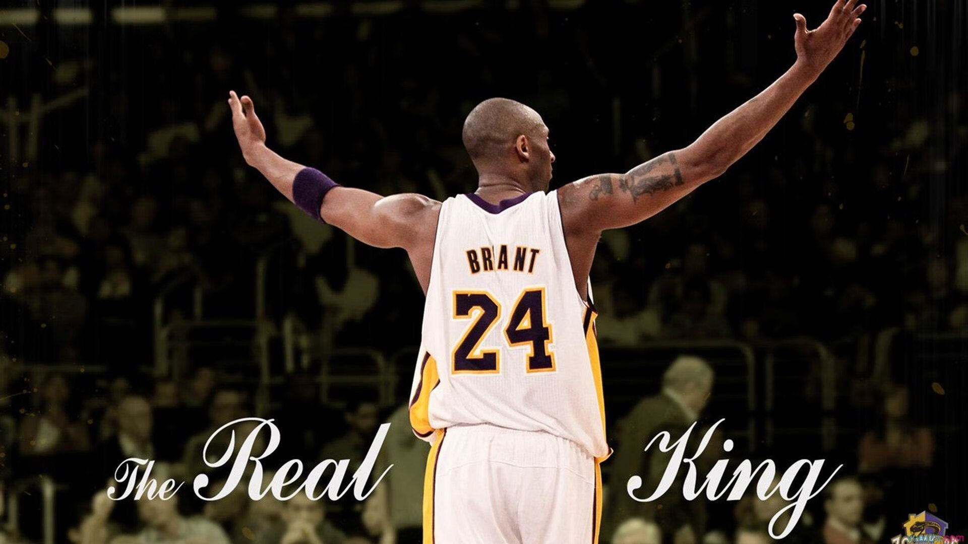 体育新闻中心联合多方推进体育版权保护联盟，体育赛事版权最多的平台